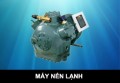 may nen lanh